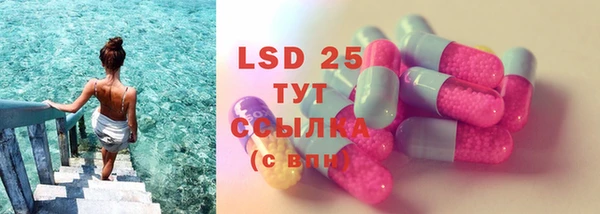 дмт Инта