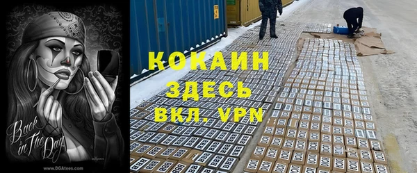 дмт Инта