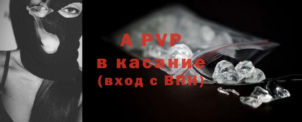 дмт Инта