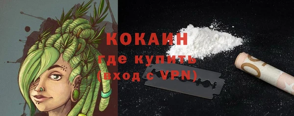 дмт Инта